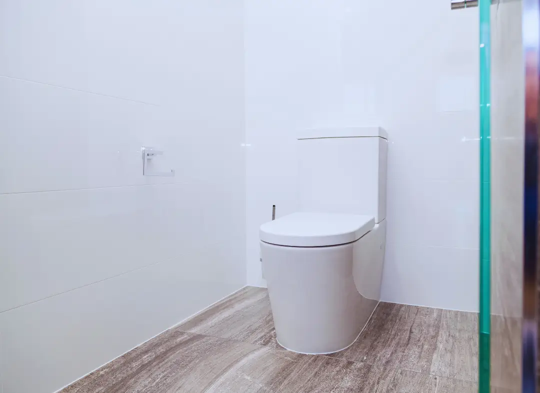 Remplacement de wc Saint-Alban